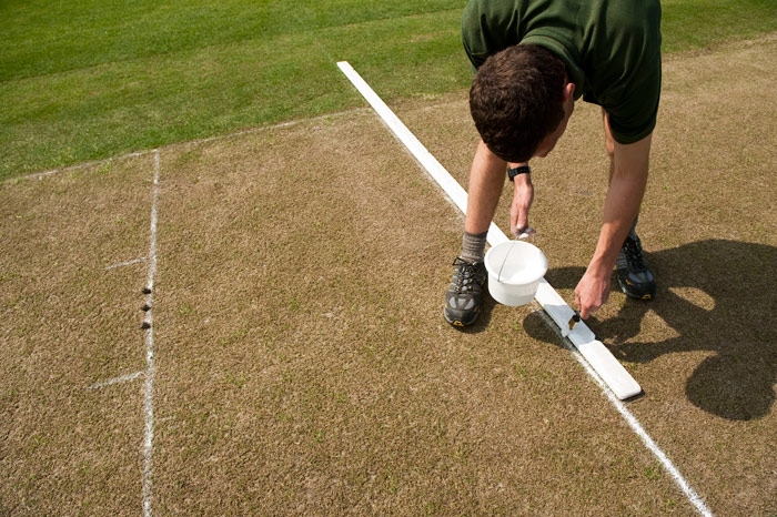 cricket pitch feets markings